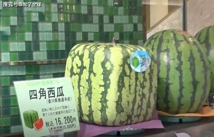 原創日本水果賣成iPhone價？背後邏輯太顛覆