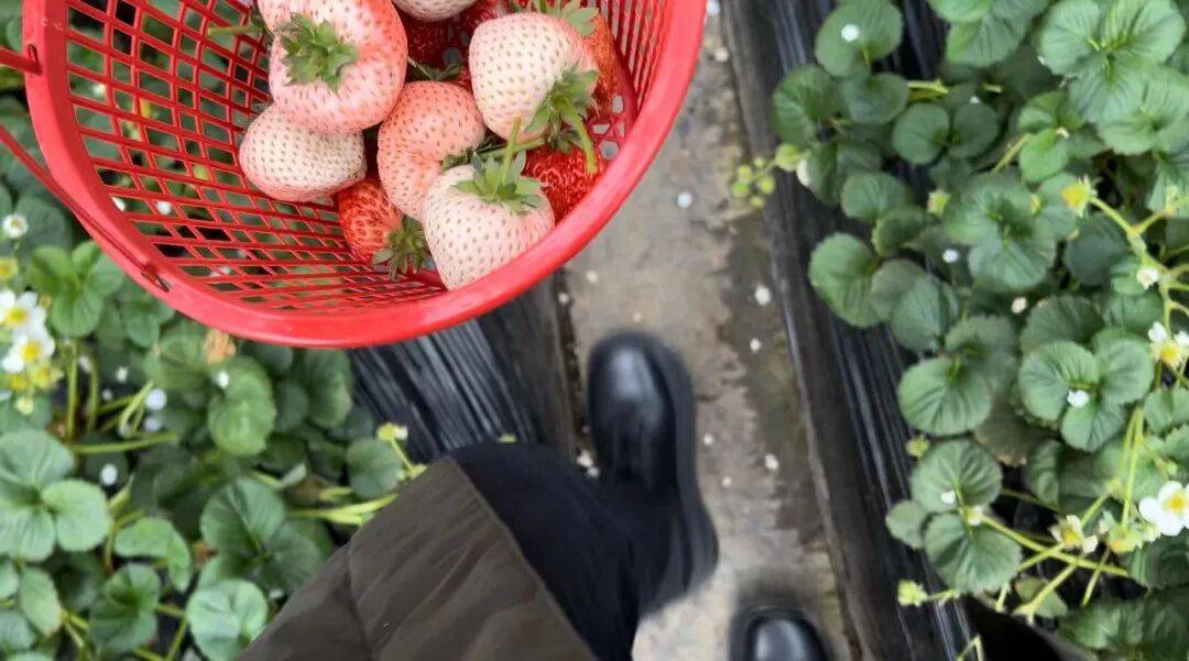 鶴崗「房產一哥」，轉行擦邊背後