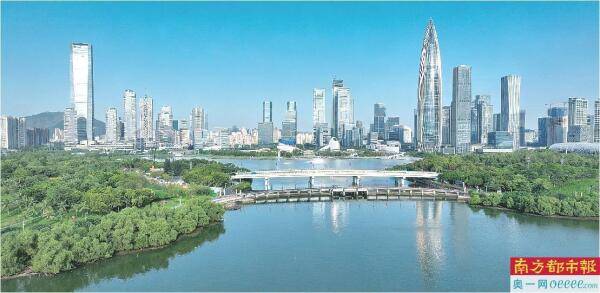 依託產業科技企業優勢 組建“南山軍團”