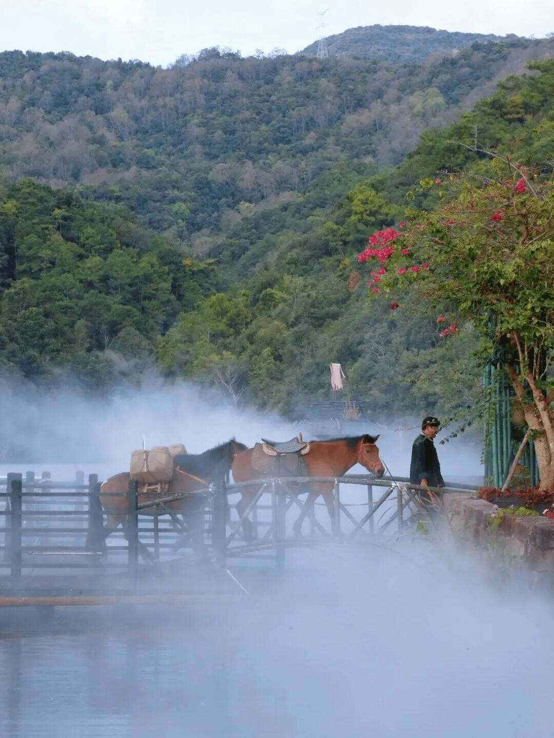 寒假湄旅遊：奔赴一場21℃的自然文化深度邂逅