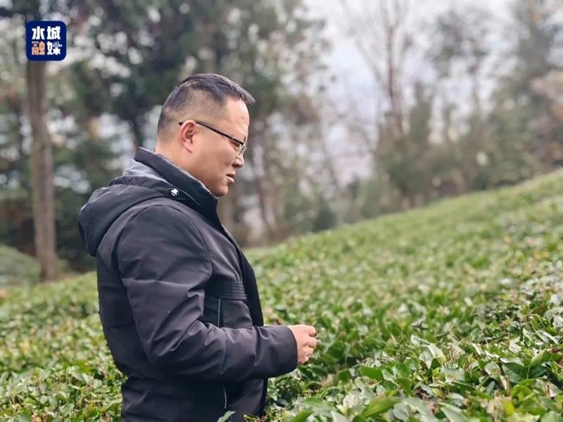 貴州省人大代表劉興：把論文寫在茶山 把履職落在實處