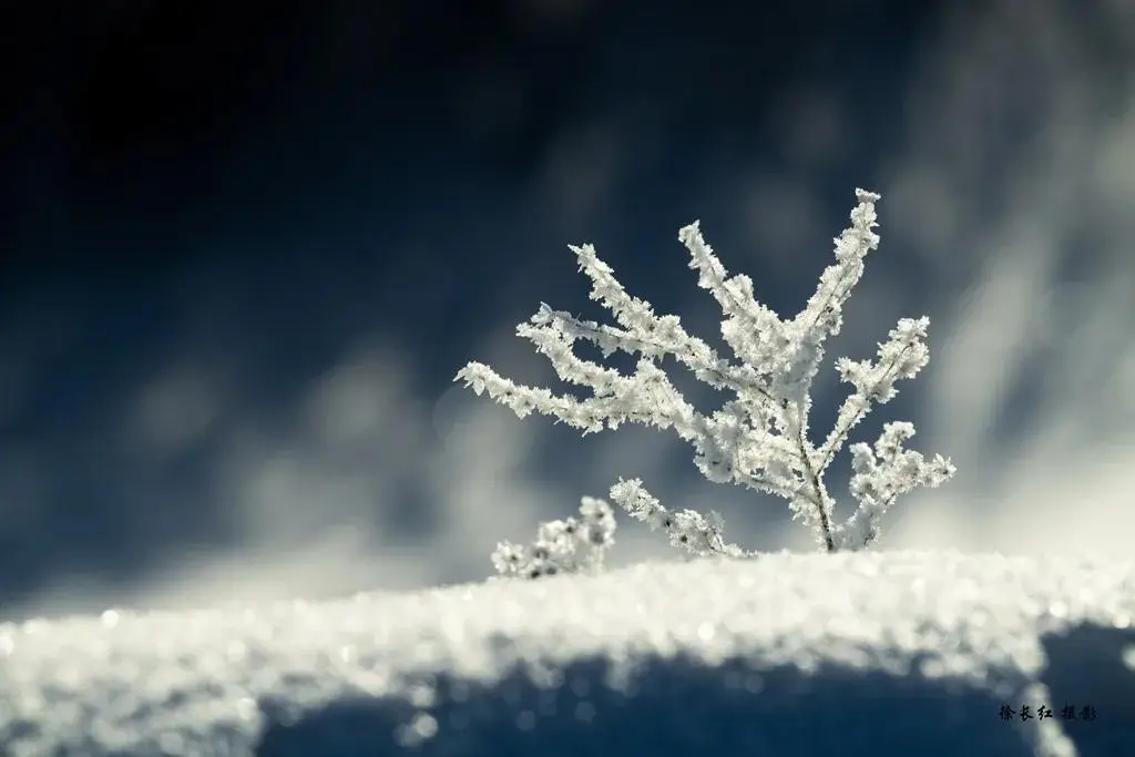 國際旅遊攝影網2026年國內外攝影路線全景指南