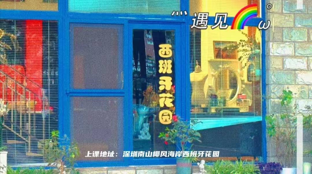 深聊好用的入門弗拉門戈舞蹈培訓，弗拉門戈舞蹈培訓學校哪家強