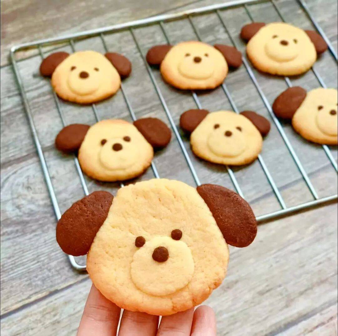 成都夜校即將開班！咖啡、化妝、書法、網球、羽毛球、瑜伽、舞蹈、鋼琴...
