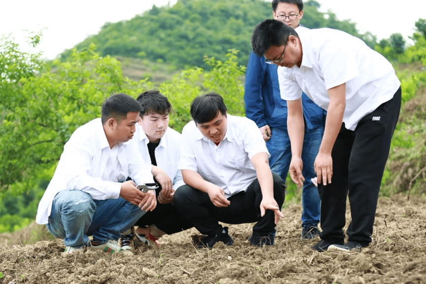 把論文種在春天裡：根扎泥土 枝向雲端