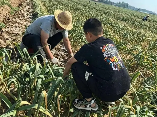 走出課堂、走進社會、親近自然，肖莊小學舉行成長研學活動