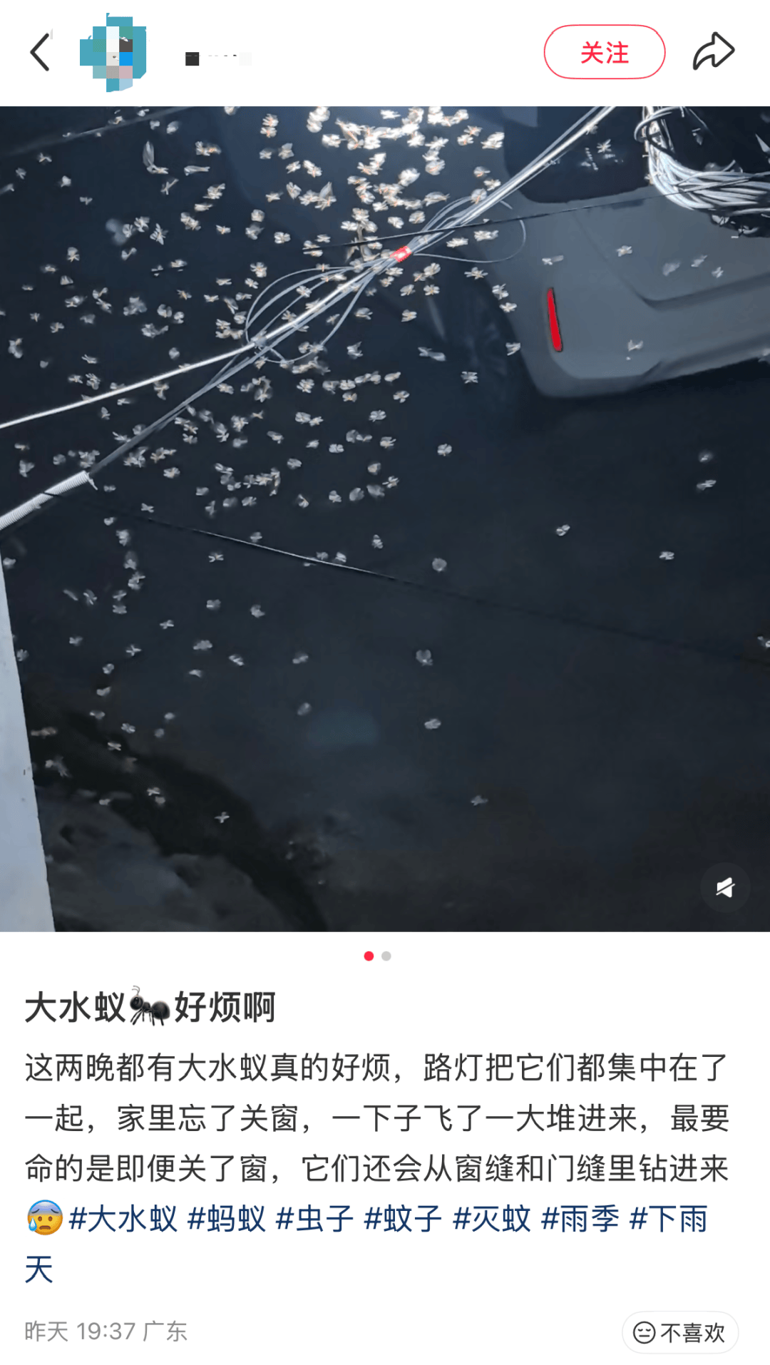 密密麻麻，近期大量出現！廣東人注意：關好門窗