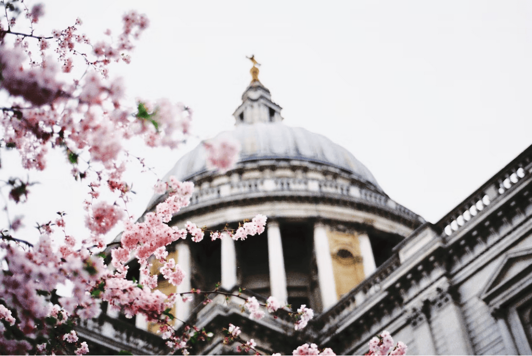 2027英國留學選專業：QS 前 100 王牌專業全解析！