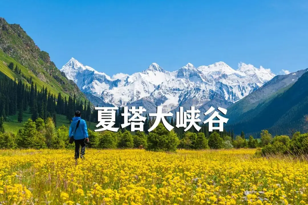 國際旅遊攝影網/入境中國行攝路線預訂，出行指南