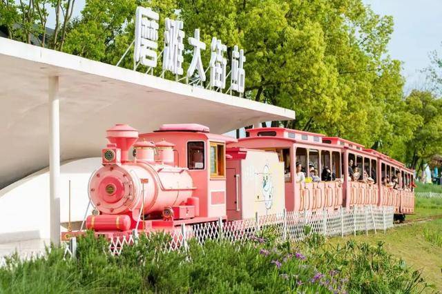 5·19中國旅遊日 | 本週末奔赴磨灘！暢享合肥美食、共赴文旅盛宴