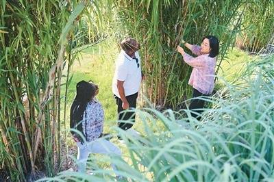 留學中國的多彩時光