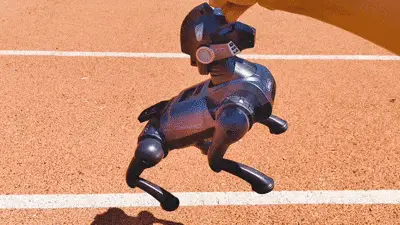 孩子第一隻AI寵物！智慧模擬機械馬，講故事、秀功夫、學程式設計，玩中學！