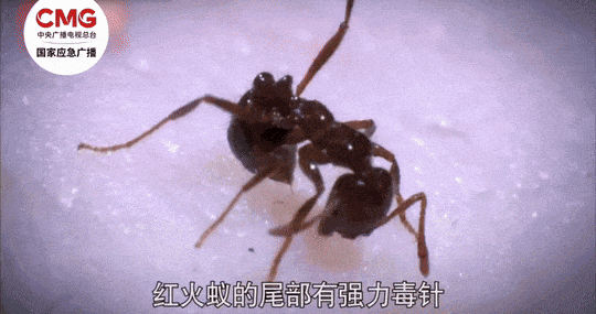 蚊子專叮這7類人！教你這4個快速止癢小妙招→