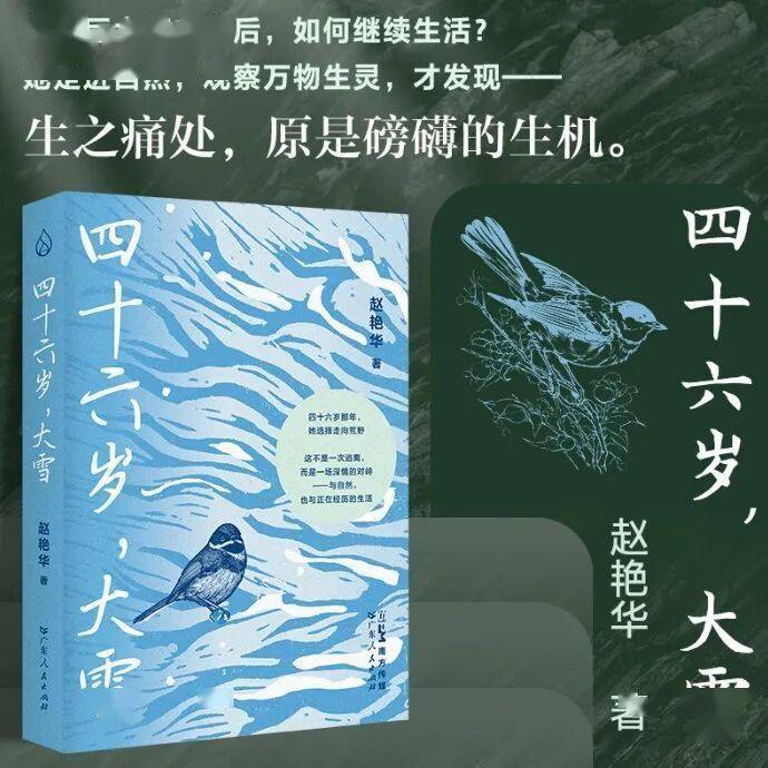 一位直麵人生悲痛的中年女性，如何重新出發……