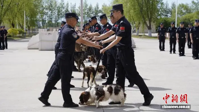 99只新犬“入職”國家移民管理機構