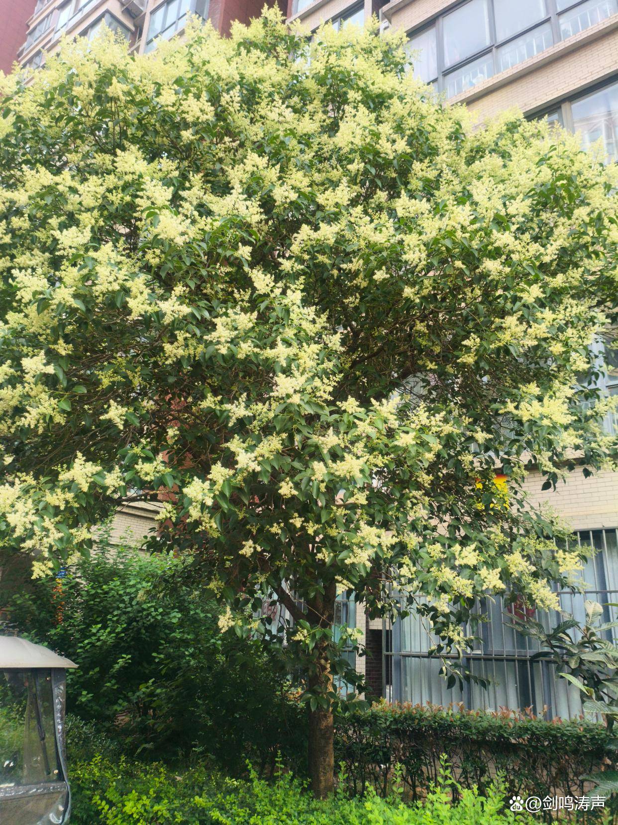 原創省教育廳“護犢子”，護的是教育公平、考生尊嚴！
