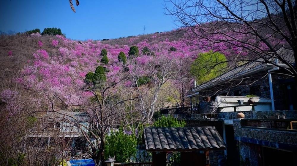 @中高考考生、在校大學生等 濟南南山多地免票或特惠