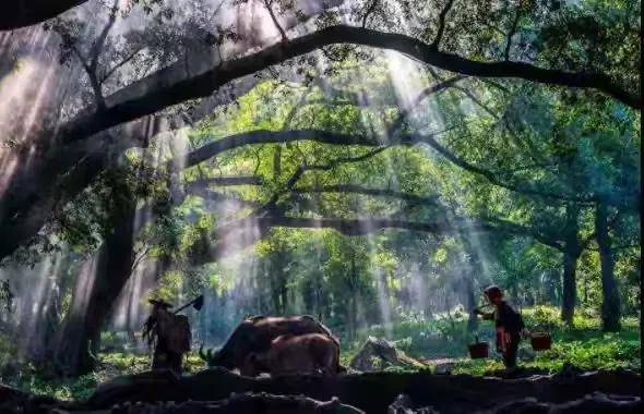 霞浦攝影哪家更靠譜？參團就找#國際旅遊攝影網#52旅遊攝影#52旅行攝影