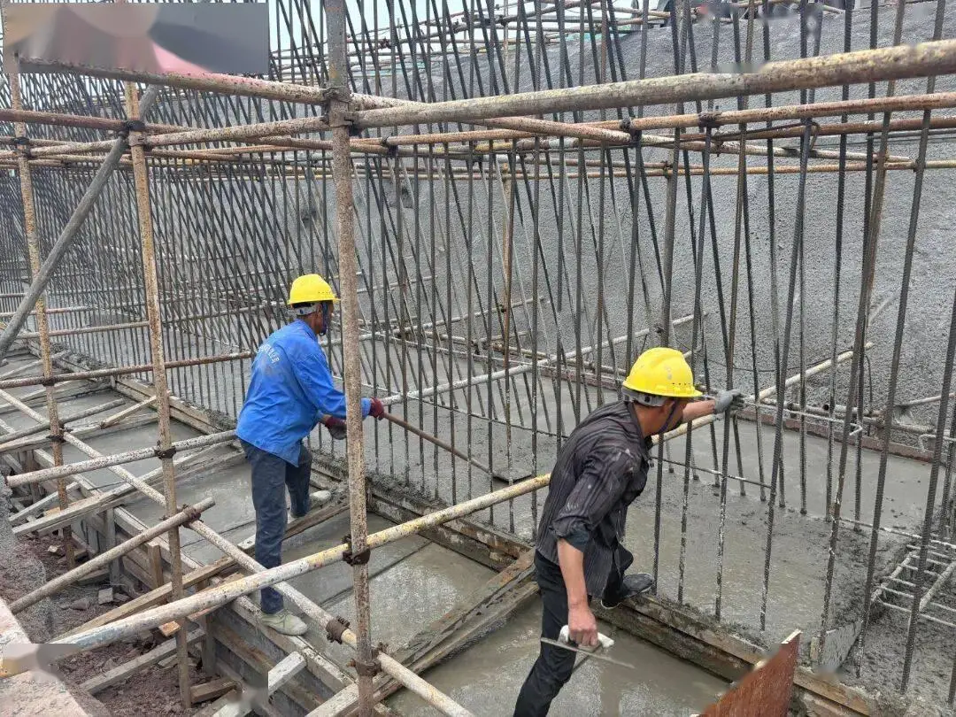 預計11月通車！建成後將提升企業物流效率30%