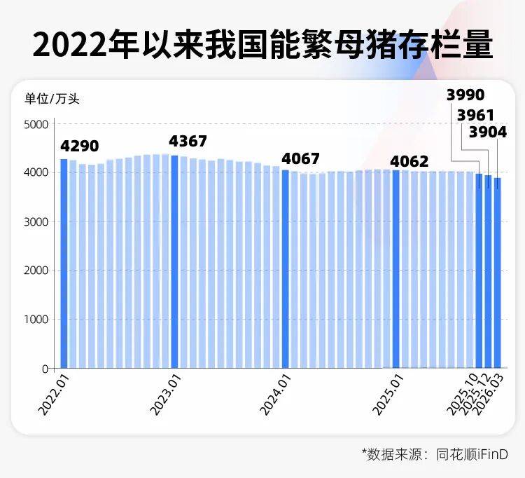 豬價創17年新低，養豬的邏輯徹底變了！專家：豬週期已變形，“地板價”不會再現，反轉拐點也不會來