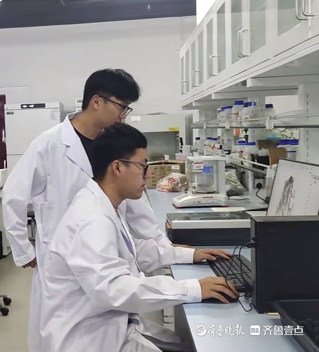 “我們來了，地就不一樣了！”數百位00後研究生“死磕”鹽鹼地