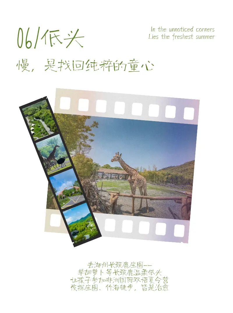 “粽”夏深呼吸 | 湄公河旅遊端午假期慢充式旅行指南