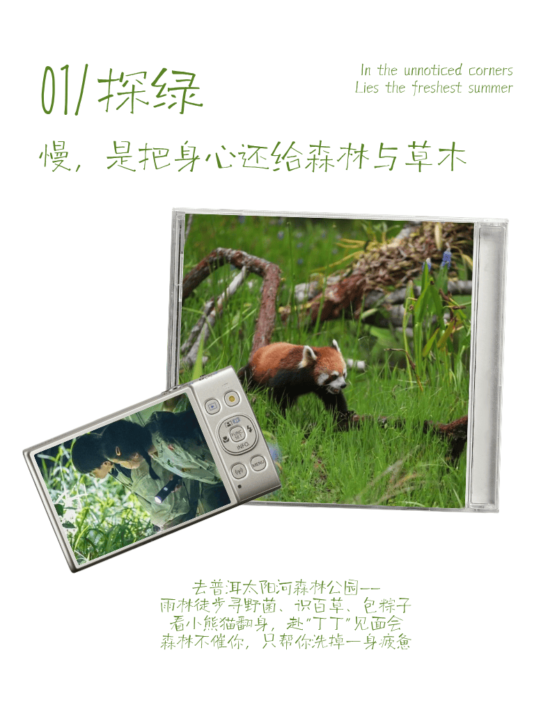 “粽”夏深呼吸 | 湄公河旅遊端午假期慢充式旅行指南