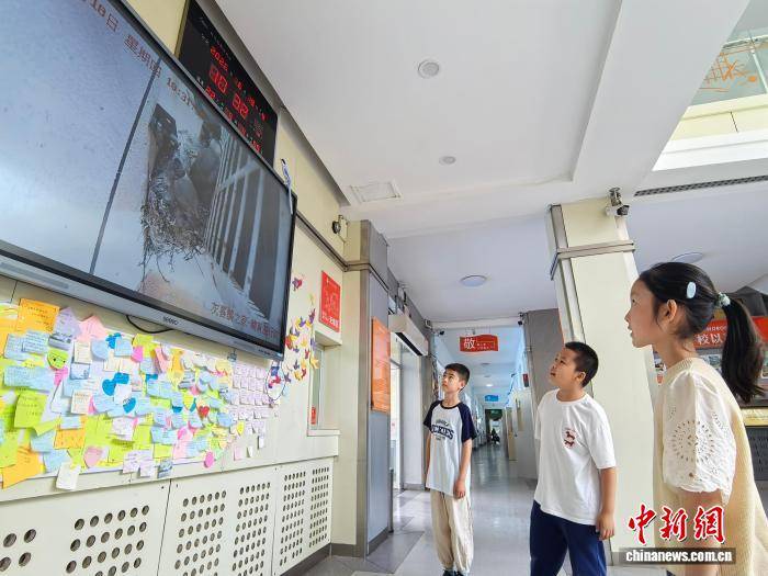 灰喜鵲校園安家 吉林小學直播育雛開設生命課堂