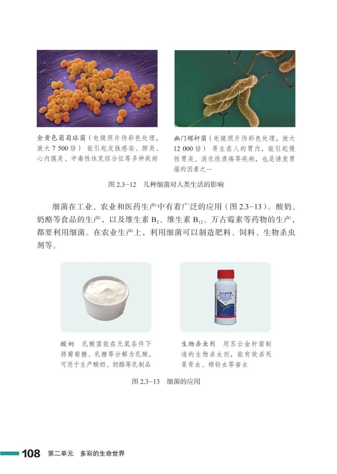 濟南版七年級生物上冊電子課本(2026新教材)