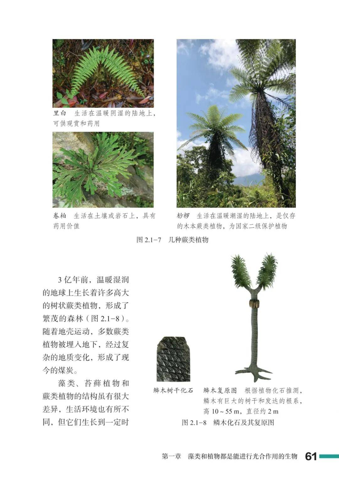 濟南版七年級生物上冊電子課本(2026新教材)