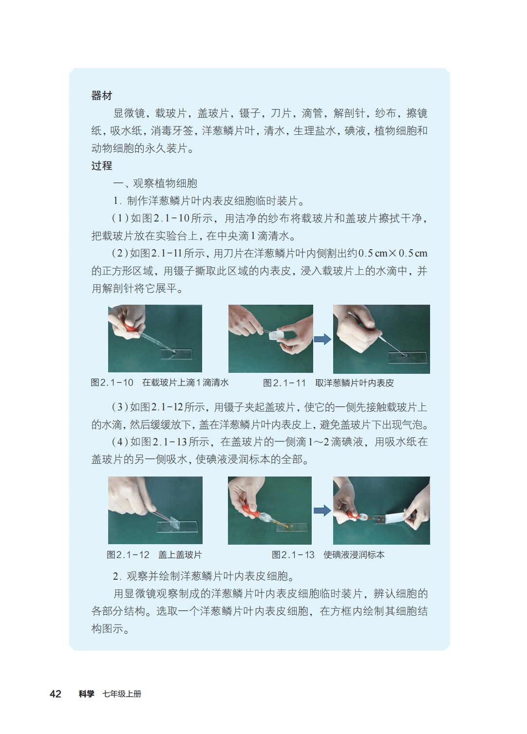 浙教版七年級科學上冊電子課本(2026年新教材)