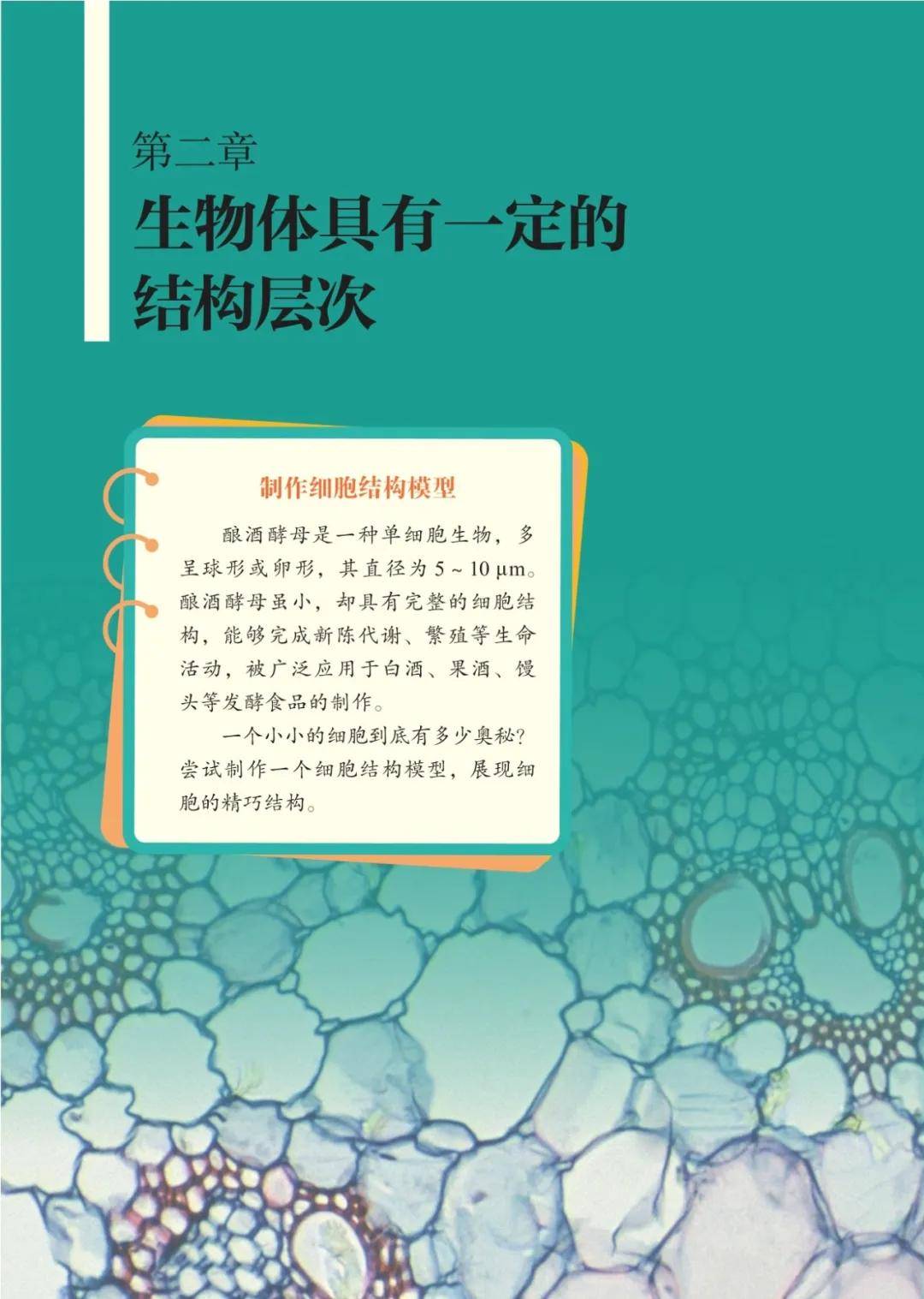 濟南版七年級生物上冊電子課本(2026新教材)
