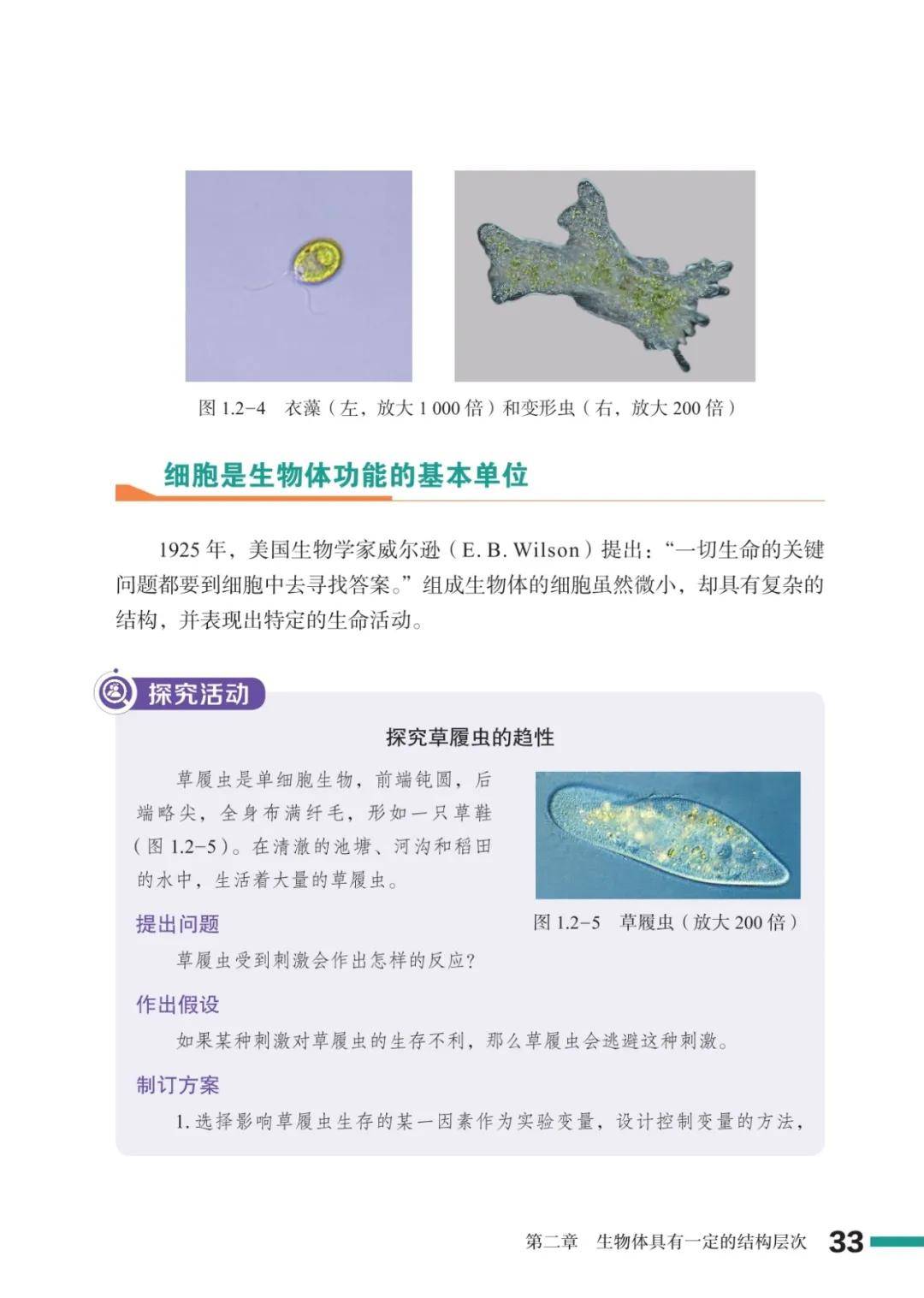 濟南版七年級生物上冊電子課本(2026新教材)