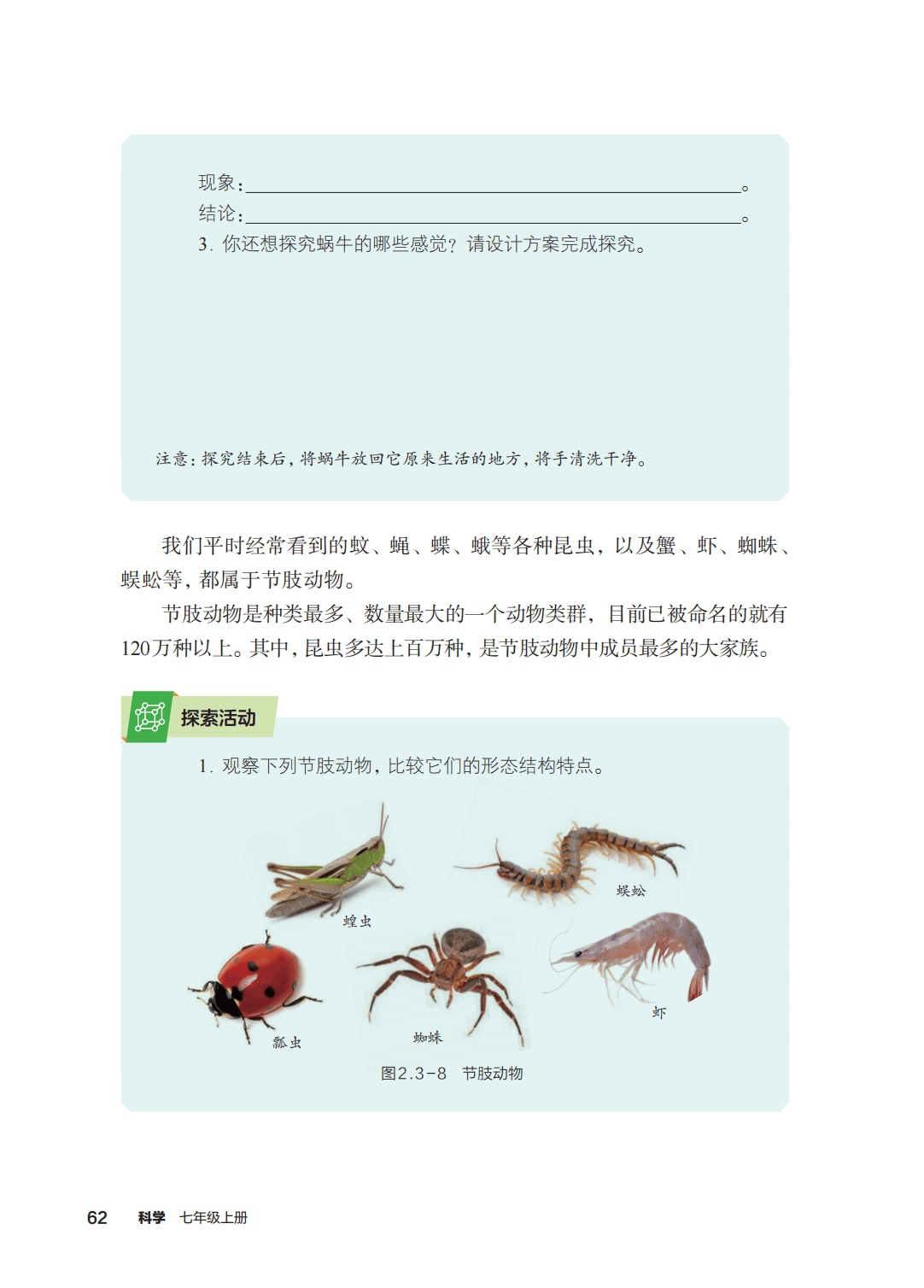 浙教版七年級科學上冊電子課本(2026年新教材)