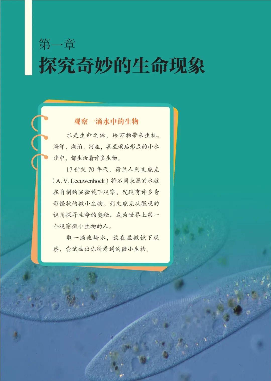 濟南版七年級生物上冊電子課本(2026新教材)