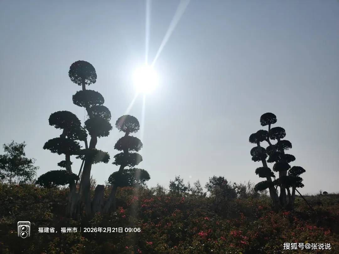 原創這一屆碩博研究生，不再是沉默的羔羊了