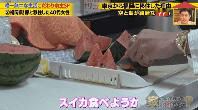 日本40歲女性住豪宅養豬豬，還因豬豬和明星結緣？深感幸福不想結婚，稱“對男人沒興趣”…