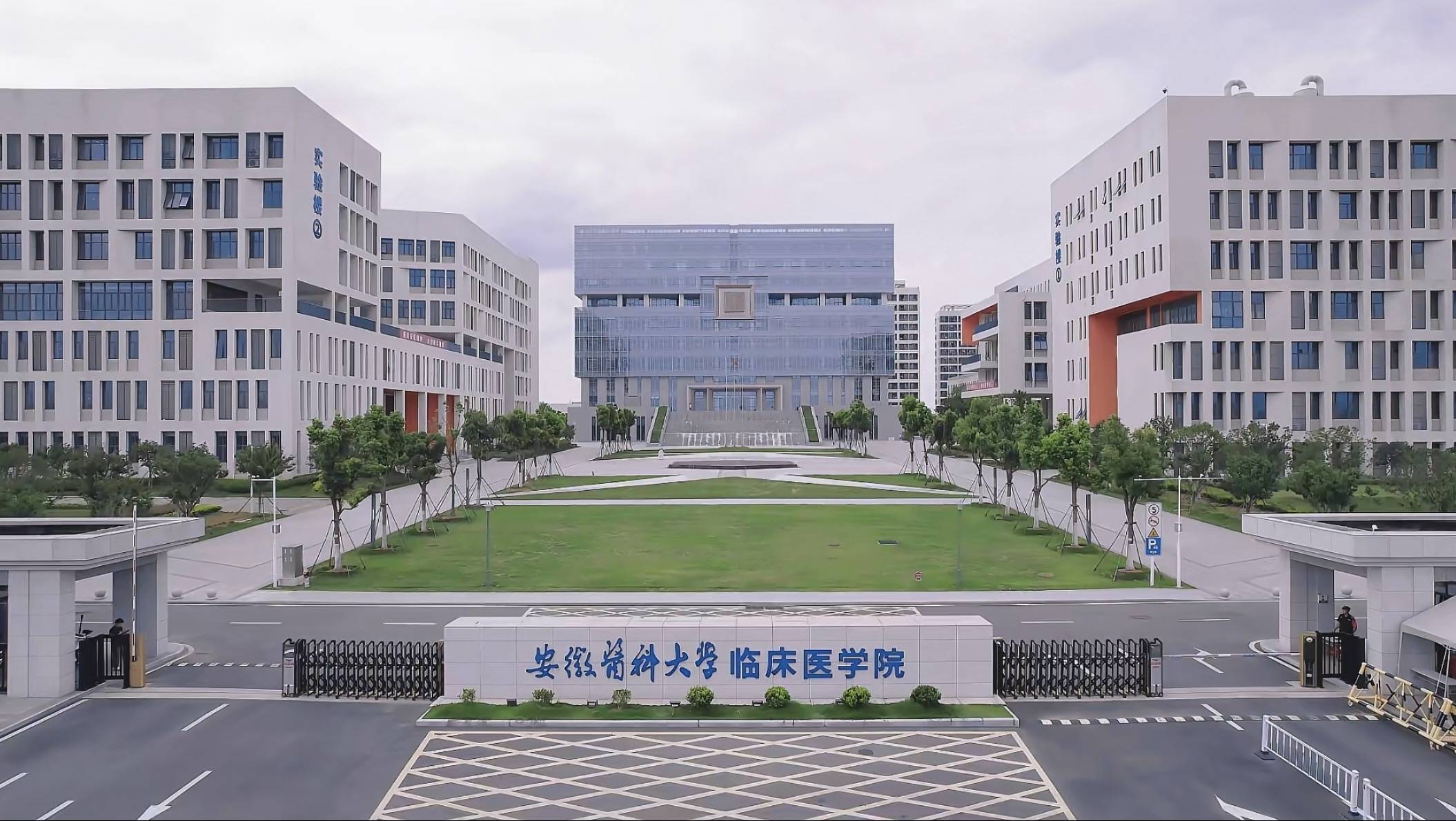 安徽醫科大學臨床醫學院考研成績深度解析：考研率、升造去向