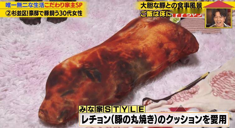 日本40歲女性住豪宅養豬豬，還因豬豬和明星結緣？深感幸福不想結婚，稱“對男人沒興趣”…
