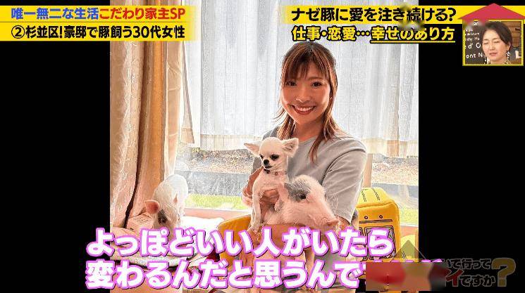 日本40歲女性住豪宅養豬豬，還因豬豬和明星結緣？深感幸福不想結婚，稱“對男人沒興趣”…