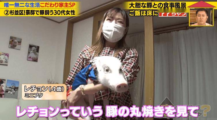 日本40歲女性住豪宅養豬豬，還因豬豬和明星結緣？深感幸福不想結婚，稱“對男人沒興趣”…