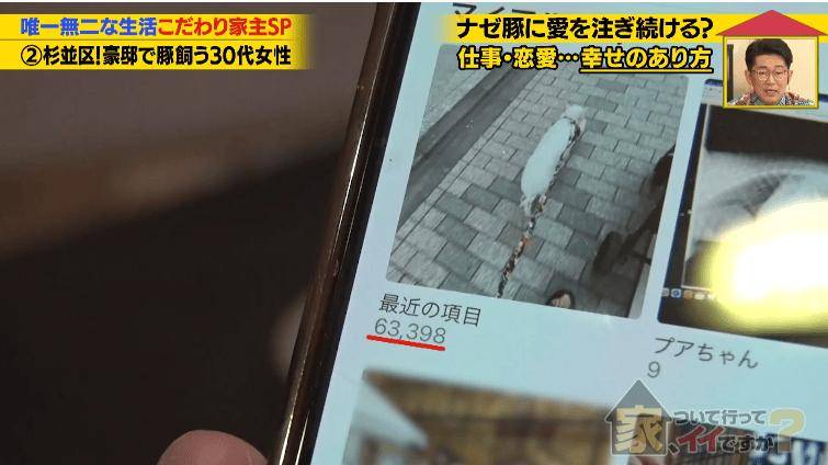 日本40歲女性住豪宅養豬豬，還因豬豬和明星結緣？深感幸福不想結婚，稱“對男人沒興趣”…
