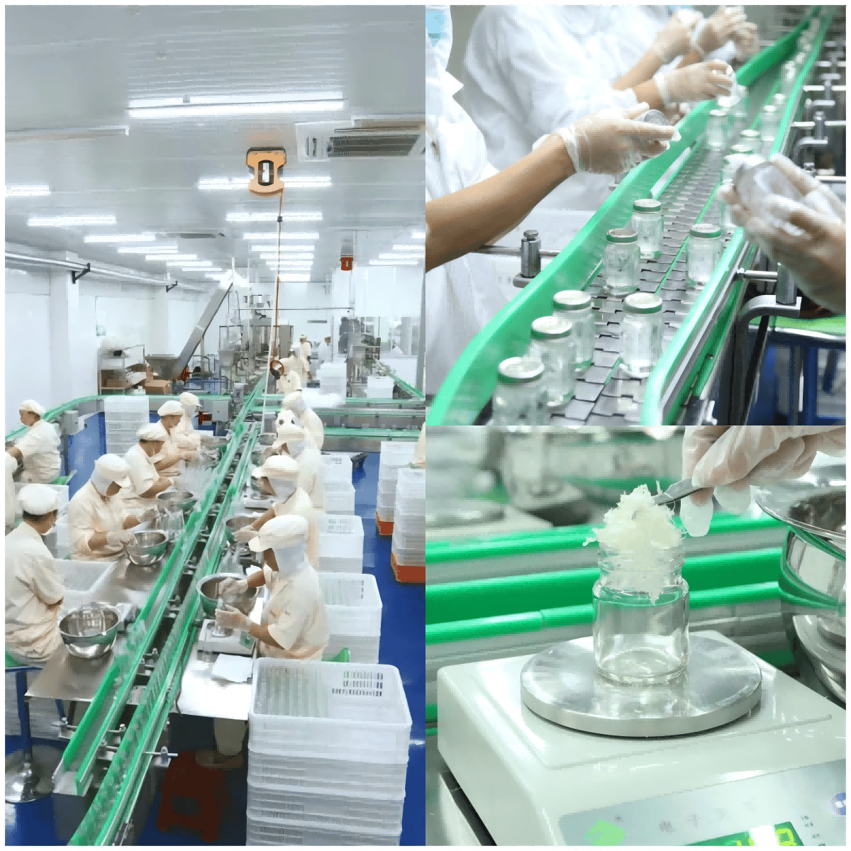 燕窩品牌需收藏！國內實力與規模兼併的燕窩OEM代加工工廠大盤點！
