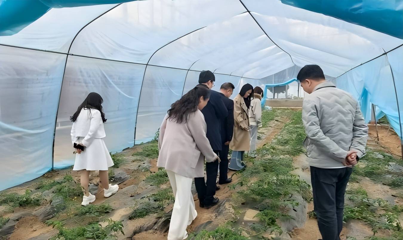 把論文寫在祖國大地上 “鄉村振興審計”結碩果——武漢學院會計學院師生寒假社會調研薈萃