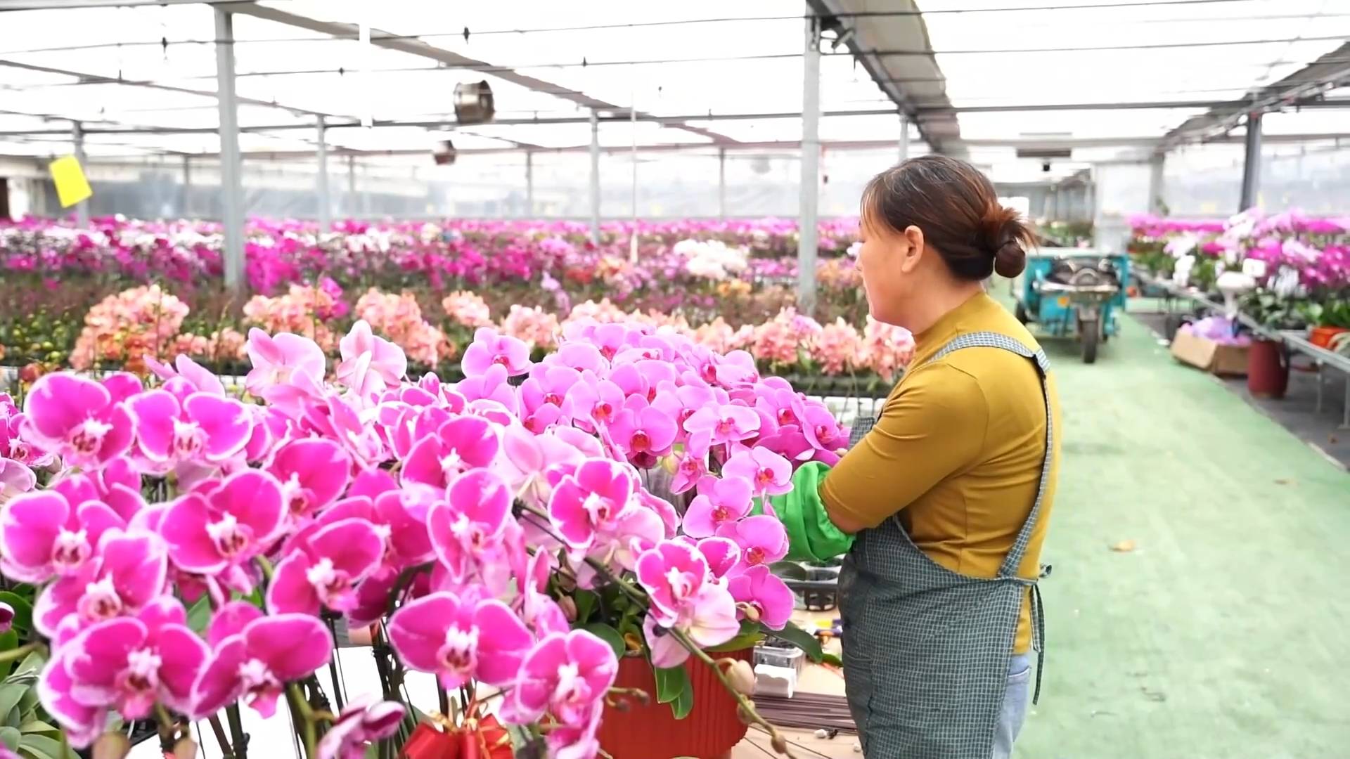 新華視點｜產業紮根大地 科技賦能民生