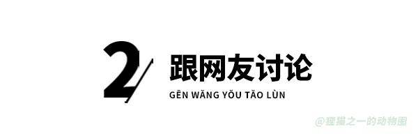 原創眼鏡蛇潛伏門前被2幼童接連踩中！家長：沒咬人，只是擺出攻擊姿態