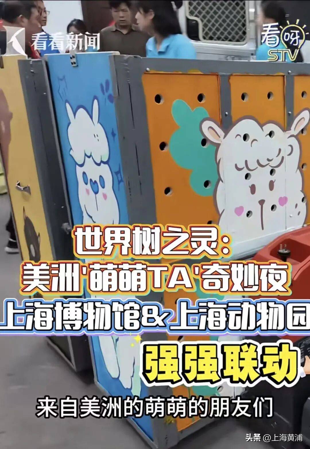 西郊公園要搬來人民廣場了？大批動物坐“定製班車”浩浩蕩蕩來市中心“上崗”，還提前“洗香香”、“做美容”！