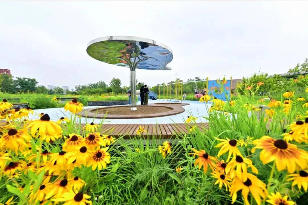 夏花盛放！通州這裡將辦花海市集、美食節~