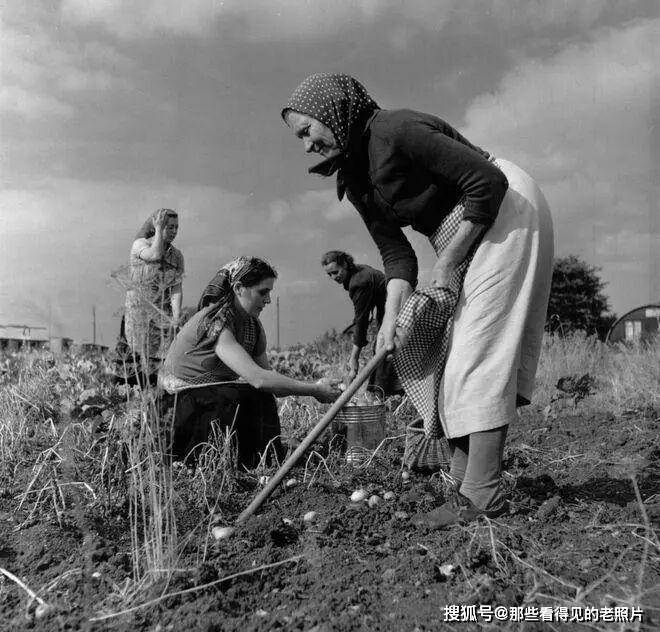 老照片 1955年波蘭移民在英國 和現在的移民截然不同