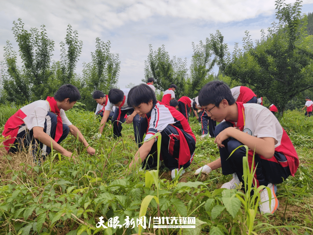 沿河自治縣關工委開展青少年勞動教育實踐活動